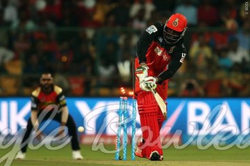 RCB vs SRH match 4 highlights ipl 2016
