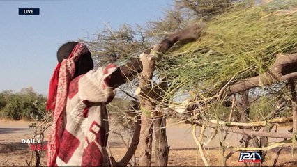 Nigeria marks 2 years since the kidnapping of at least 200 Chibok girls