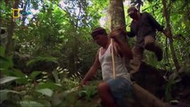 Thế giới động vật | Động vật hoang dã Amazon - thuyết minh