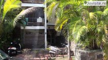 Visite virtuelle vidéo Location vacances à Boucan canot superbe t1bis meublé