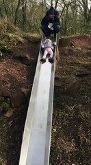 Cette petite va faire la pire descente en toboggan de sa vie