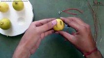 How To Glow LED Using Lemon -Lemon Battery