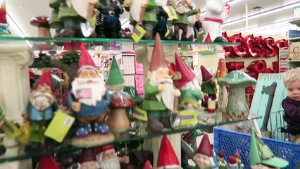 OLLIE KNOWS GNOMES NOSES!