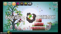 Angry Birds: Angry Birds Season Pig Day, Angry Birds Nest Birthday