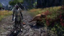 Why The Elder Scrolls Online is the best MMO Ever