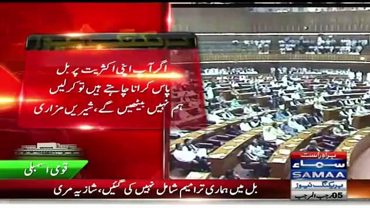 Sita White Ki Baiti Apna DNA Karwa Rahi Hai – Captain Safdar To Shireen Mazari In Parliament