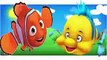 Finding Nemo Finger Family Songs | Finger Family Fish Cartoon Animation Nursery Rhymes for