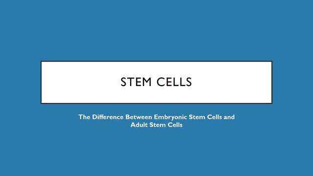 The Difference Between Embryonic Stem Cells and Adult Stem Cells