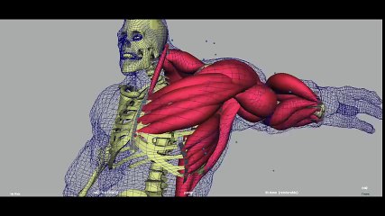 CGI VFX Breakdown HD   Thor  The Dark World Stone Man Vfx Breakdown  by Luma Pictures