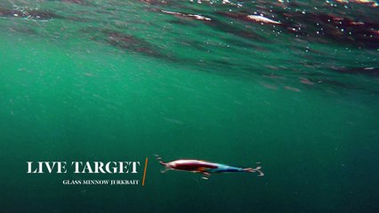 How Lures Swim: Live Target Glass Minnow Jerkbait