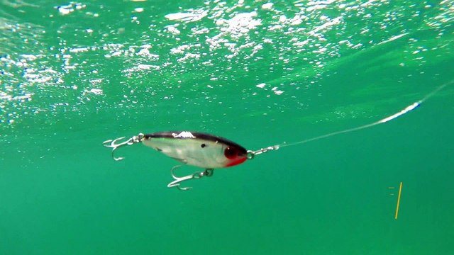 How Lures Swim: MirrOlure 17MR Mirrodine Suspending Twitchbait