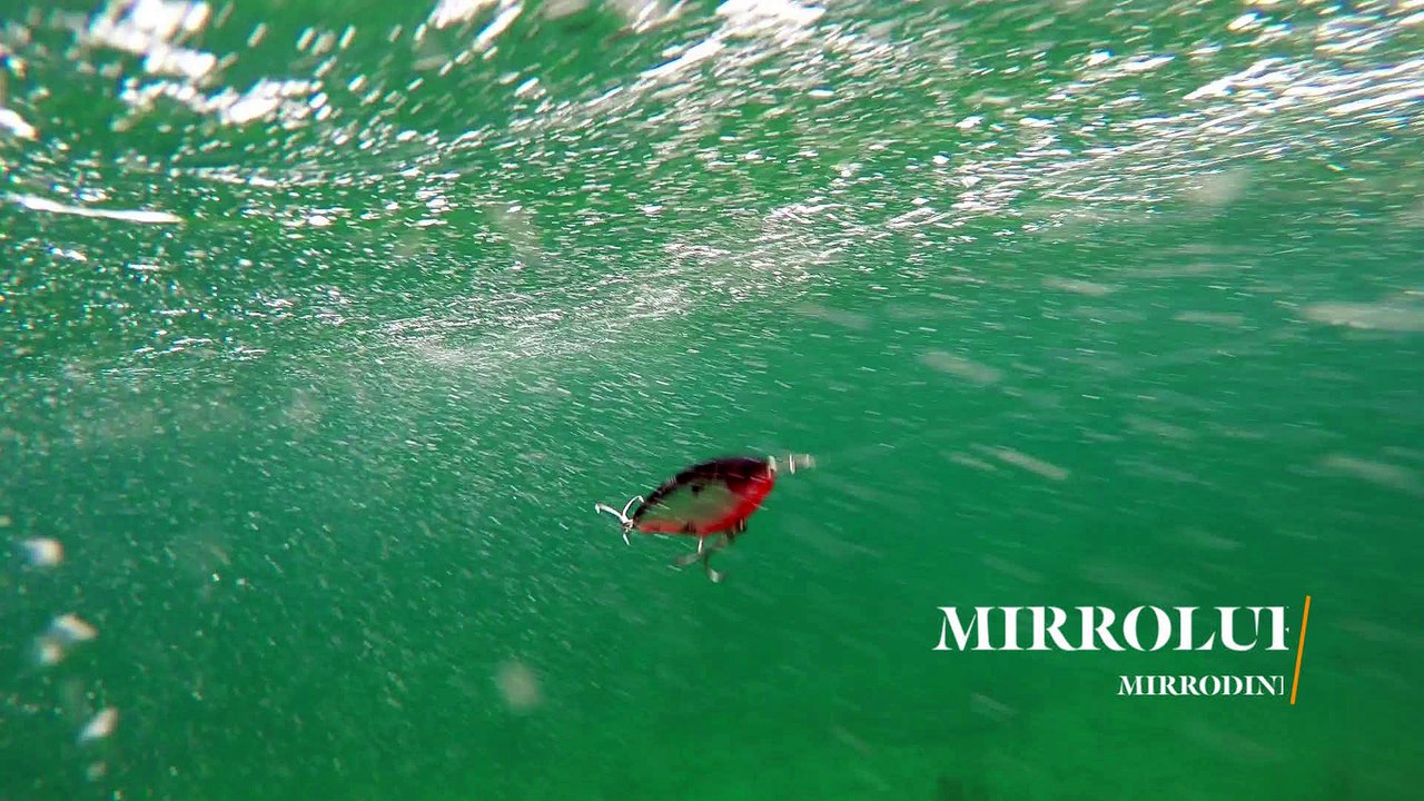 How Lures Swim: MirrOlure Mirrodine XL