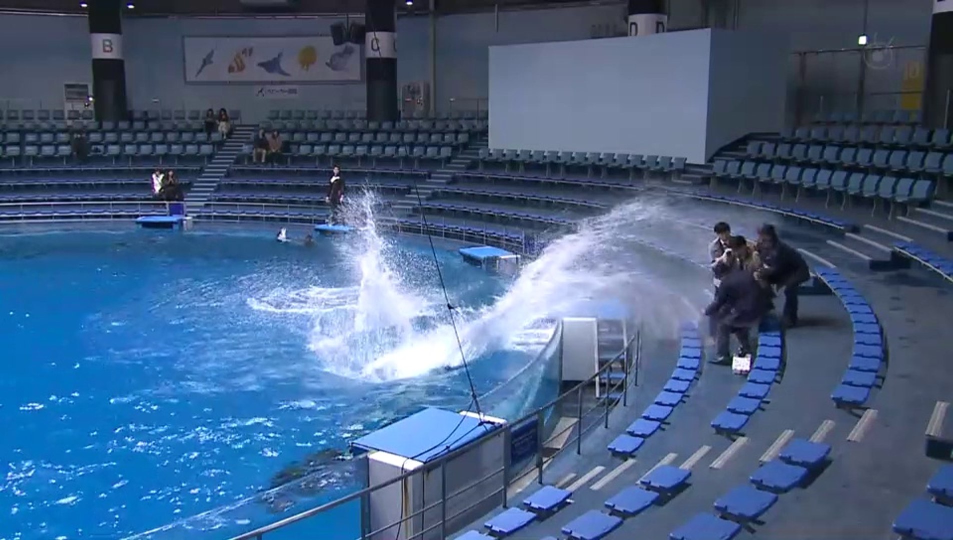 ふなっしー探偵 動画 Dailymotion