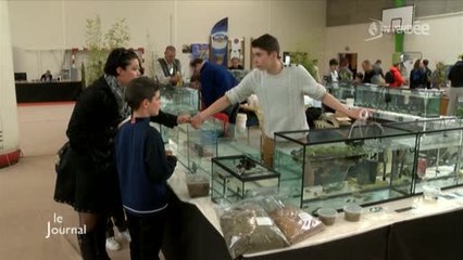 Sallertaine : La bourse Aqua/Terra de "Passion Poissons 85"