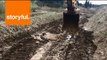 Excavator Lifts Second Deer to Safety After Mud Mishap