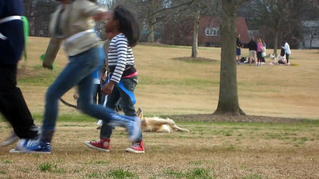 Ce chien est très malin, ce qu'il fait pour ne pas rentrer du parc est hilarant !