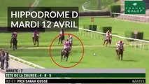 Accident : un cheval percute des spectateurs à Nantes