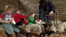 Teletubbies: Lambs - Full Episode