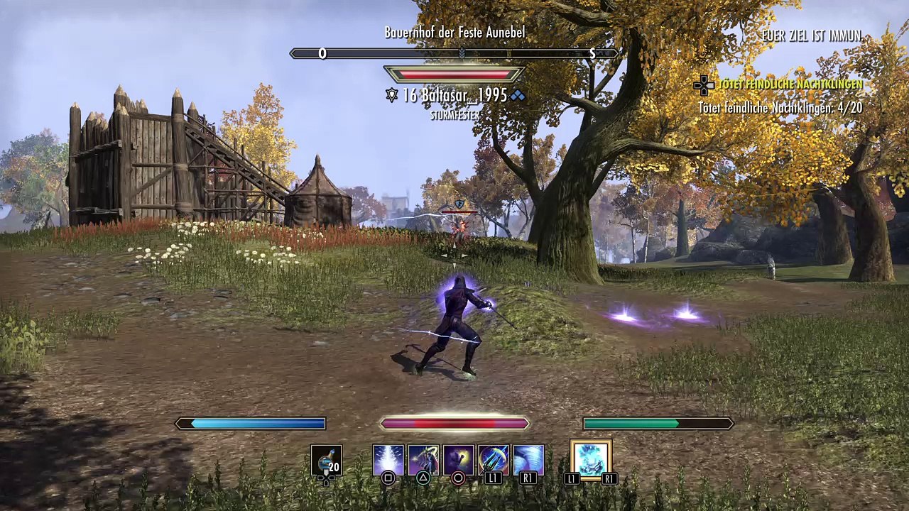 Mage vs stamina dragonknight