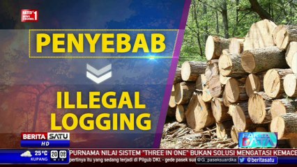 Fakta Data: Selamatkan Hutan Indonesia