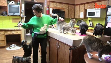 ÚLTIMA HORA. Jose Luis Colmenter: Mujer comparte su casa con 1.100 gatos