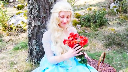 Spiderman vs Joker Arrested! Ft Frozen Elsa vs King Kong & Pink Spidergirl vs Skeleton in Real Life!