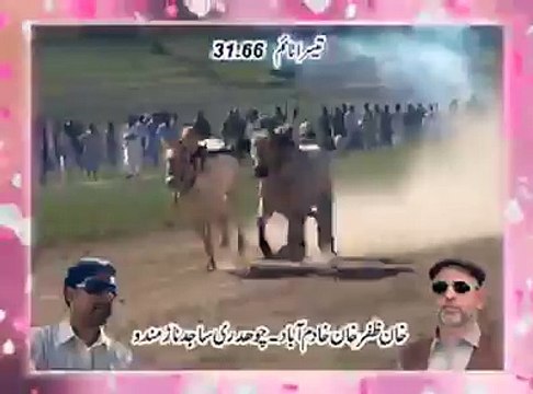 T.A.M.A.S.H.A تیسرا نمبر - پیر چک سواری