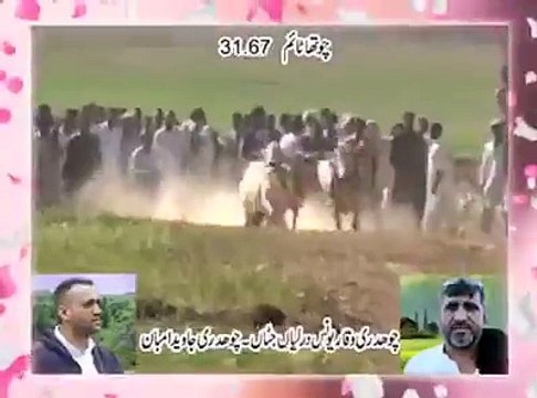 T.A.M.A.S.H.A چوتھا نمبر - پیر چک سواری