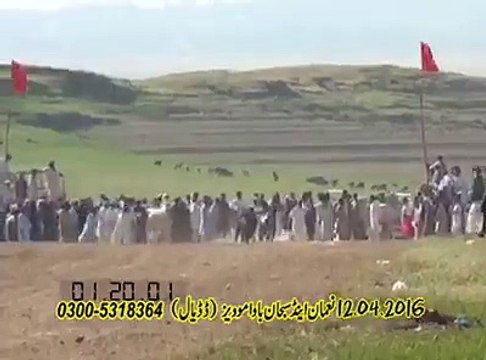 T.A.M.A.S.H.A بجلی داند - پیر چک سواری