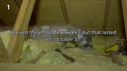 Top 5 CREEPIEST Home Intruders