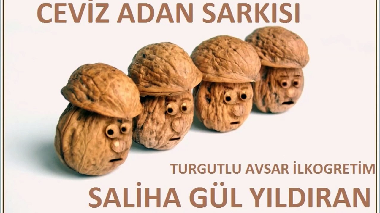 Ceviz adam şip şap şup,Ceviz Adam ,çocuk Şarkısı Dinle