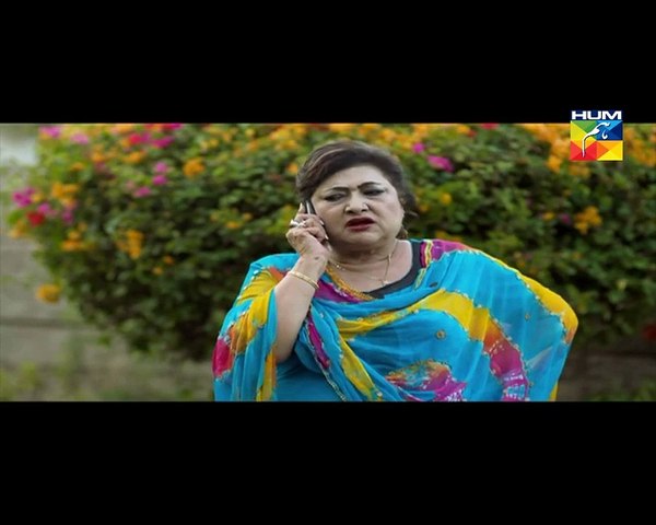 Haya Kay Daman Main Episode 11 HUM TV Full Drama 13 April 2016