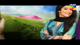 Haya Kay Daman Main Episode 12 Promo