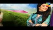 Haya Kay Daman Main Episode 12 Promo