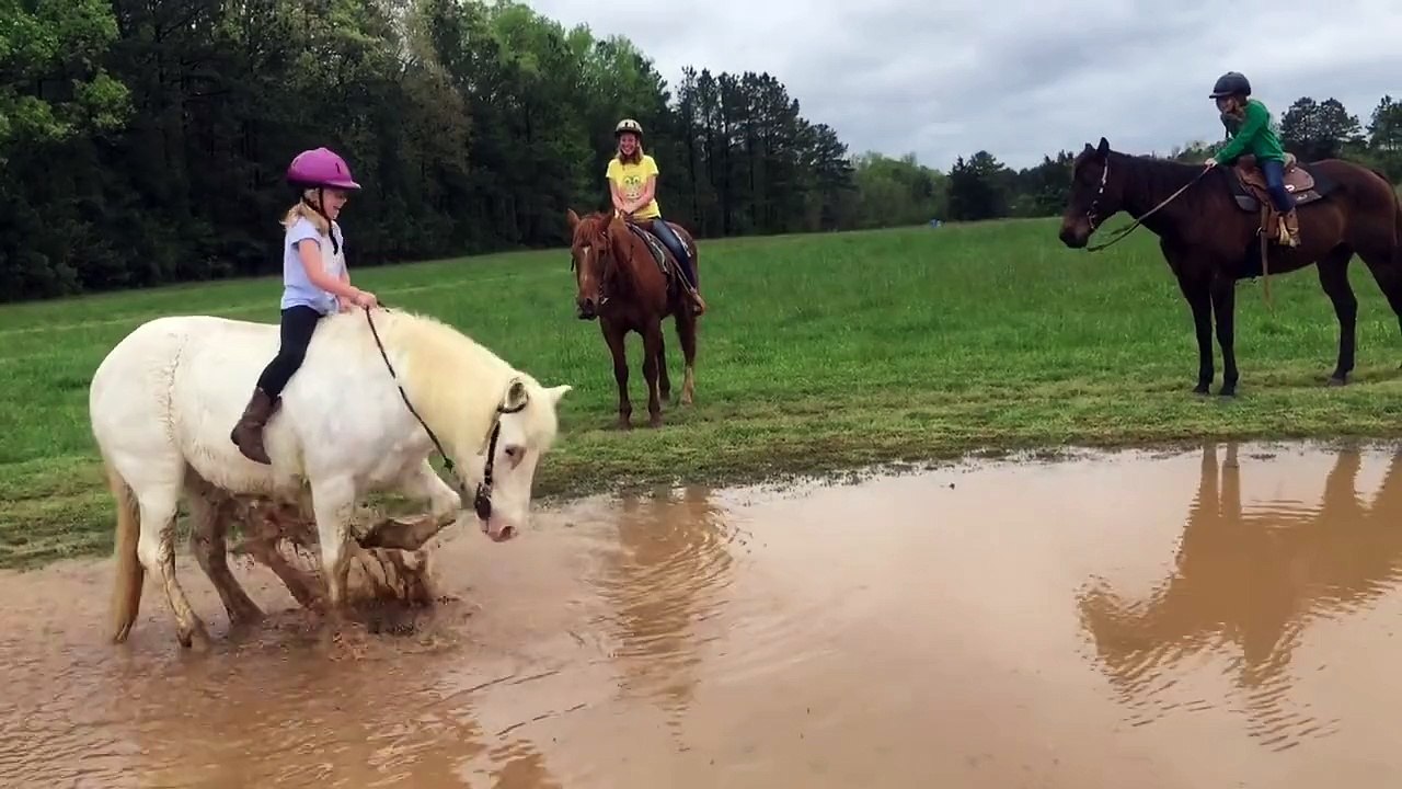 Un poney fait trempette dans une flaque d'eau avec une enfant sur son dos