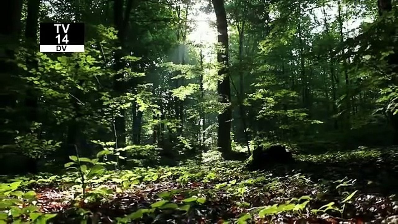 Crime Documentary - Twisted - Bus Stop Killer