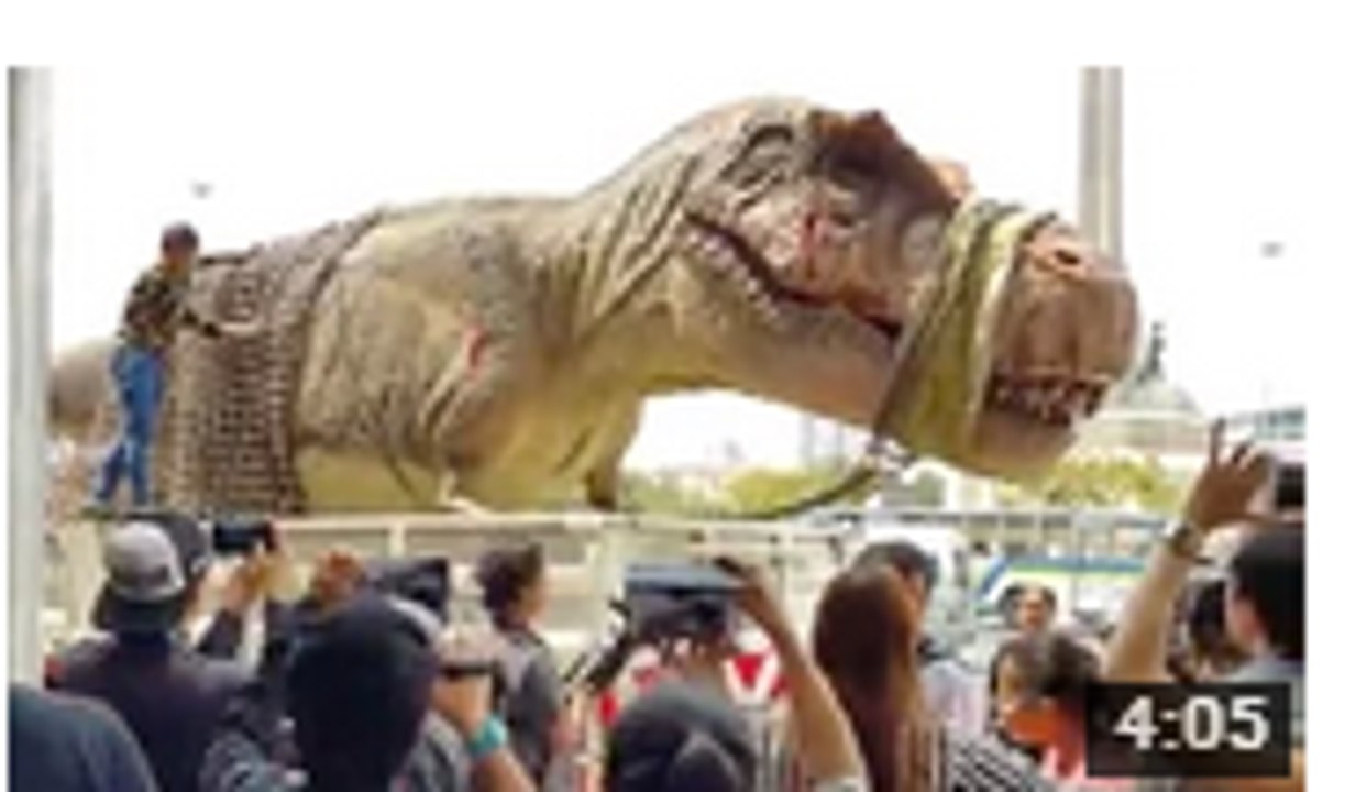 FUNNY Videos & Crazy Clips ★2016 Compilation Video ★