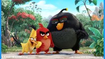 LEGO Angry Birds Movie Sets Announced! LEGO News