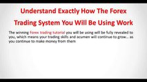 Forex Trading System - Your Forex Trading Tutorial