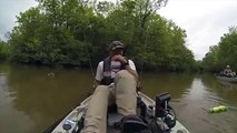 Esta fue la reacción de un pescador al ver a un caimán al lado de su bote