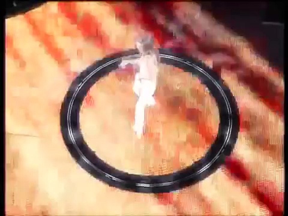 Celine Dion Au Coeur Du Stade [celine-dion.fr] 24