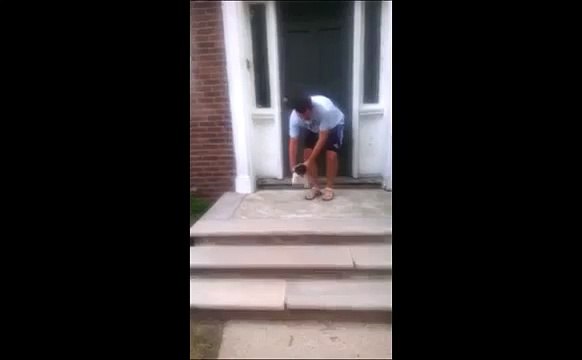 Ce chiot n'arrivait pas à descendre des escaliers... Ce qu'il fera est extraordinaire !