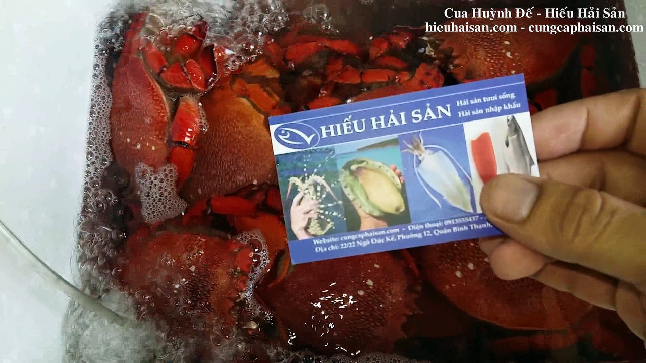 Bán cua huỳnh đế sống giá rẻ ở Sài Gòn - TPHCM