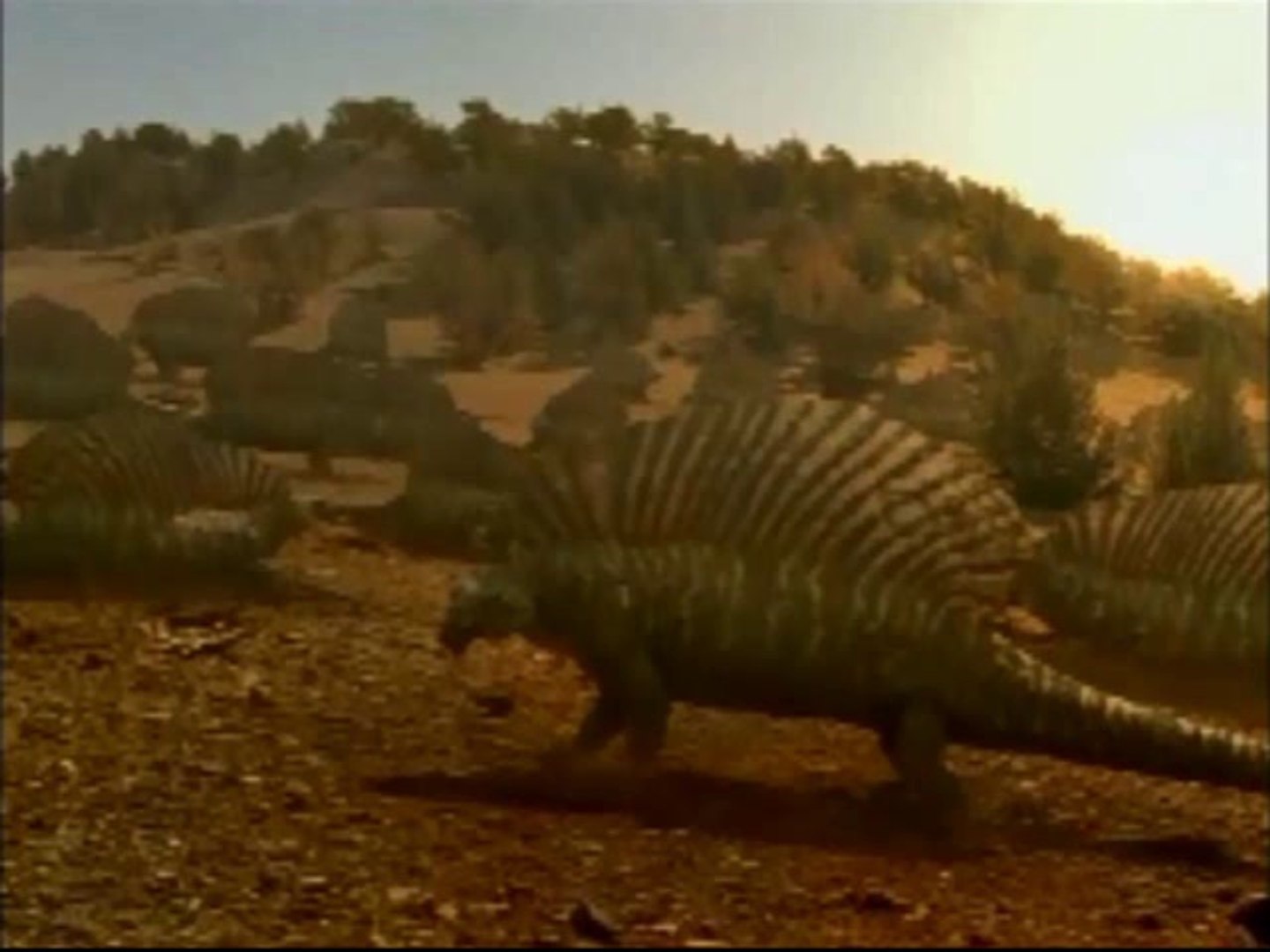 Reptiles del Pérmico Inferior, el Dimetrodon