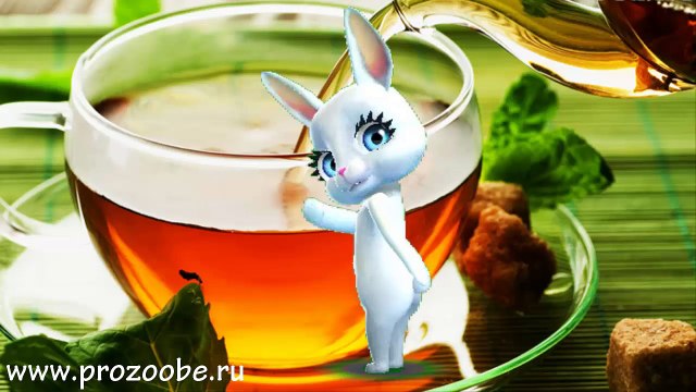 Заряд бодрости от утреннего чая - Прикол от Зайки Домашней Хозяйки
