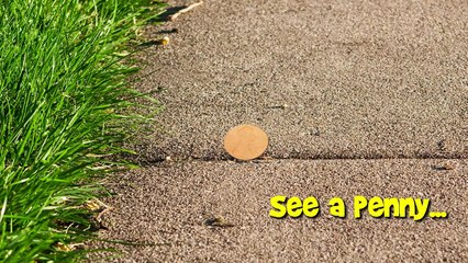 Fisher-Price Go Diego Go Animal Caller Voice Activated Megaphone, 2006 Mattel Toys