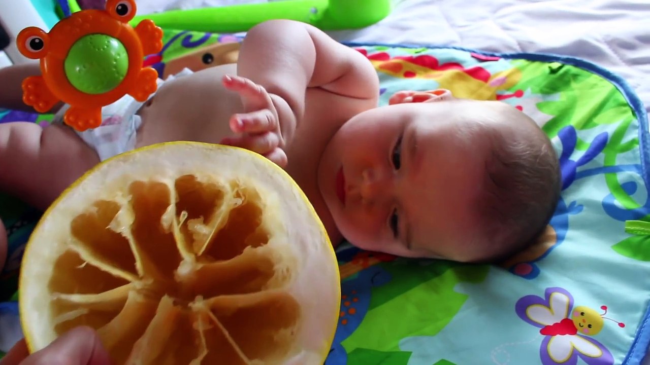 BABY EATING SOUR Like Lemon For the FIRST TIME Like Giant Fruit CHALLENGE Funny Silly Babies Faces