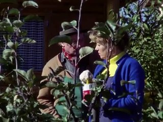 3. ) Münchner Geschichten