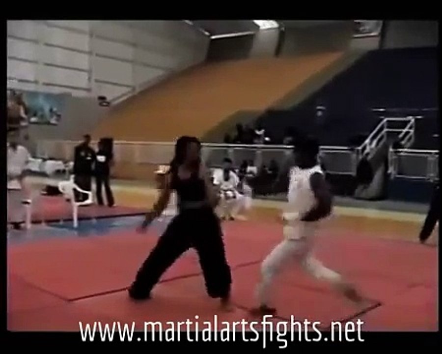 Capoeira vs Kung Fu