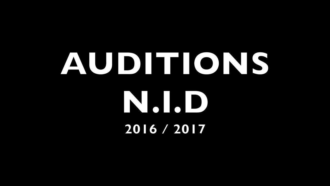 Auditions N.I.D 2016/2017